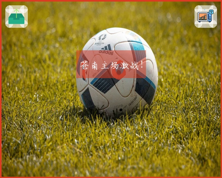 苍南主场激战！