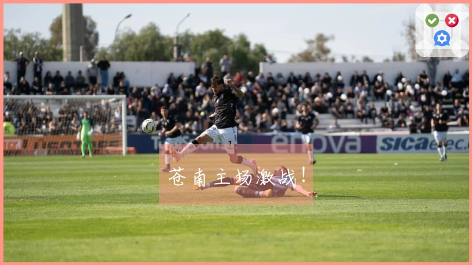 苍南主场激战！